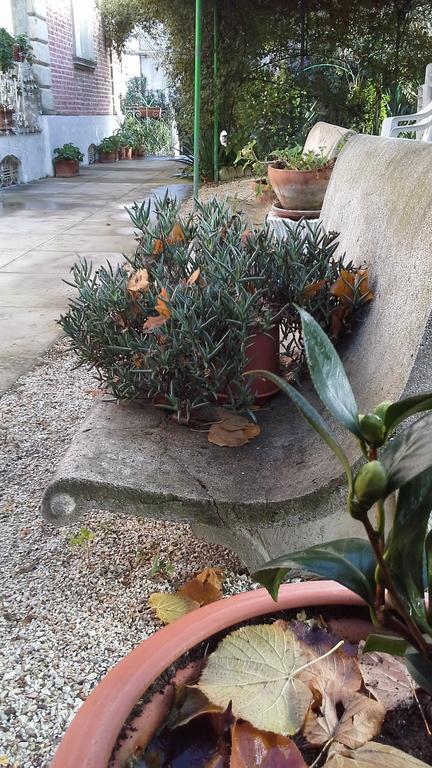 Villa Maria Bed & Breakfast, Corridonia, Marche Eksteriør billede