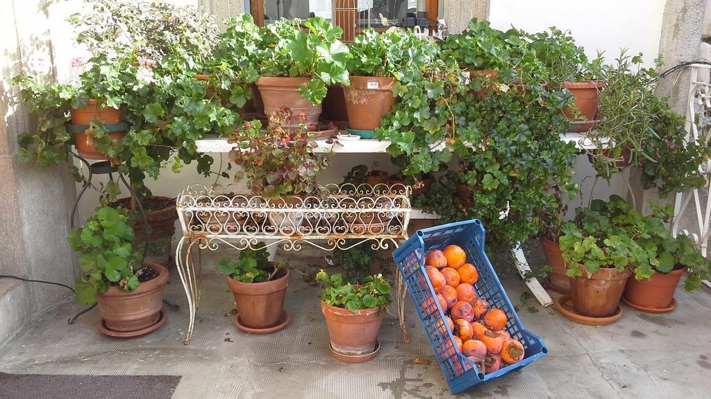 Villa Maria Bed & Breakfast, Corridonia, Marche Eksteriør billede